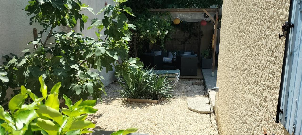 Studio Pour Location Vacances A La Semaine Авиньон Екстериор снимка